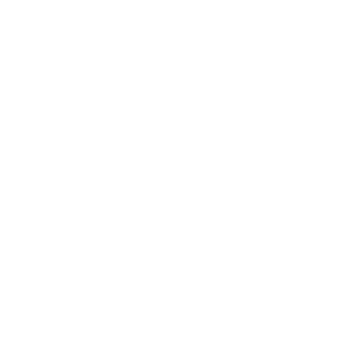 BuyBuyPal_logo_blanco